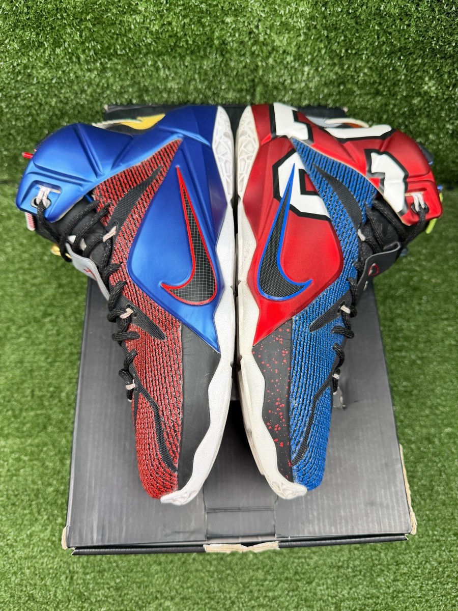 Size 10.5 - Nike LeBron 12 SE What The | eBay
