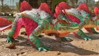 Ark Ascended - PVE - Xbox/PC/ PS5- [Top Stat Lv362 CC Maeguana Pair]
