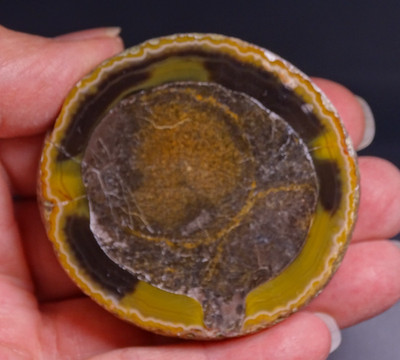 Chinese Fighting Blood Agate Half Nodule Collector Rock Middle Class Mine China