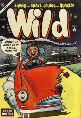 Wild #3 Photocopy Comic Book