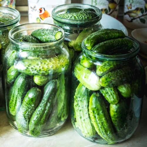 1/4 Lb Boston Pickling Cucumber Seeds - Everwilde Farms Mylar Seed Packet - Picture 2 of 2