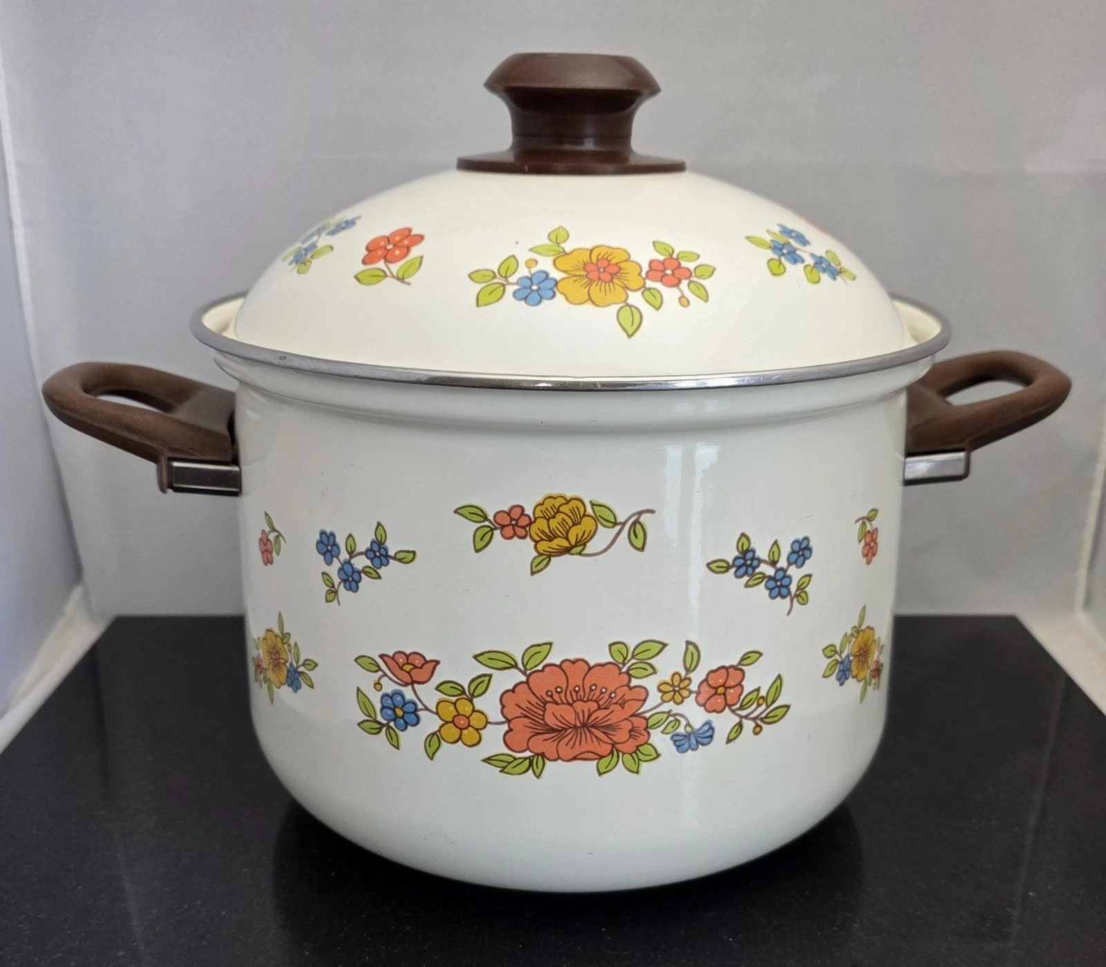 Vintage MCM 1970's EXCEL *Summer Garden* Tall 9.5" Diameter Stockpot w/ Lid
