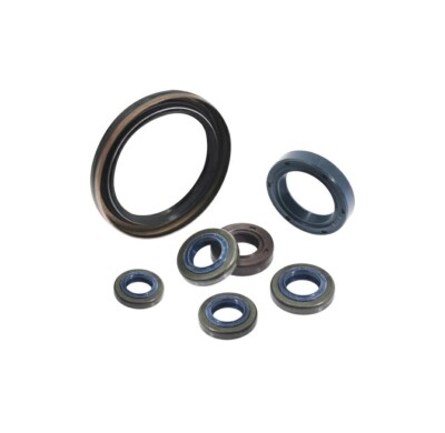 Wellendichtring Aufsitzmäher Rasenmäher D440 D460 Loncin 380650574-0001