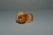 Littlest Pet Shop~#213~Guinea Pig~Caramel Yellow~Green Brown Dot Eyes