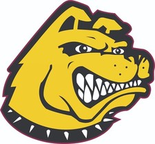 Memphis Mad Dogs CFL Full Size Football Helmet Decals