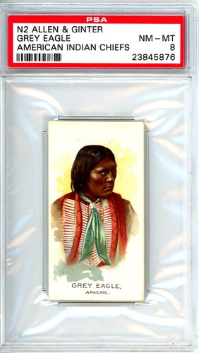 1888 N2 Allen & Ginter #23 Grey Eagle