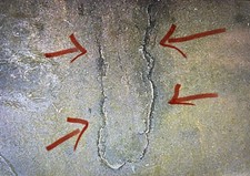  on The Hot Collector