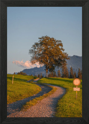 Private Tree Framed Wall Art Poster Canvas Print Picture