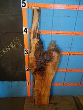 A1779 15/16" THICK KILN DRIED spalted Maple Live Edge Slab shelf table