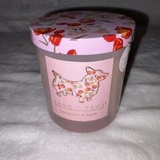Sand  Paws Candle Scented Coconut  Palm Neutralizes Pet Odor Corgi Dog 11.5 Oz