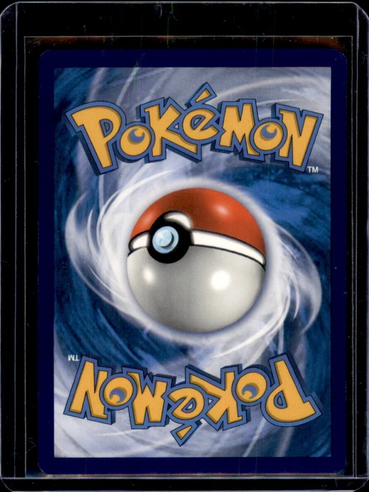 Scorbunny SWSH002 Black Star Promo Sword and Shield Holo Rare Pokemon Card - Image 2 of 2