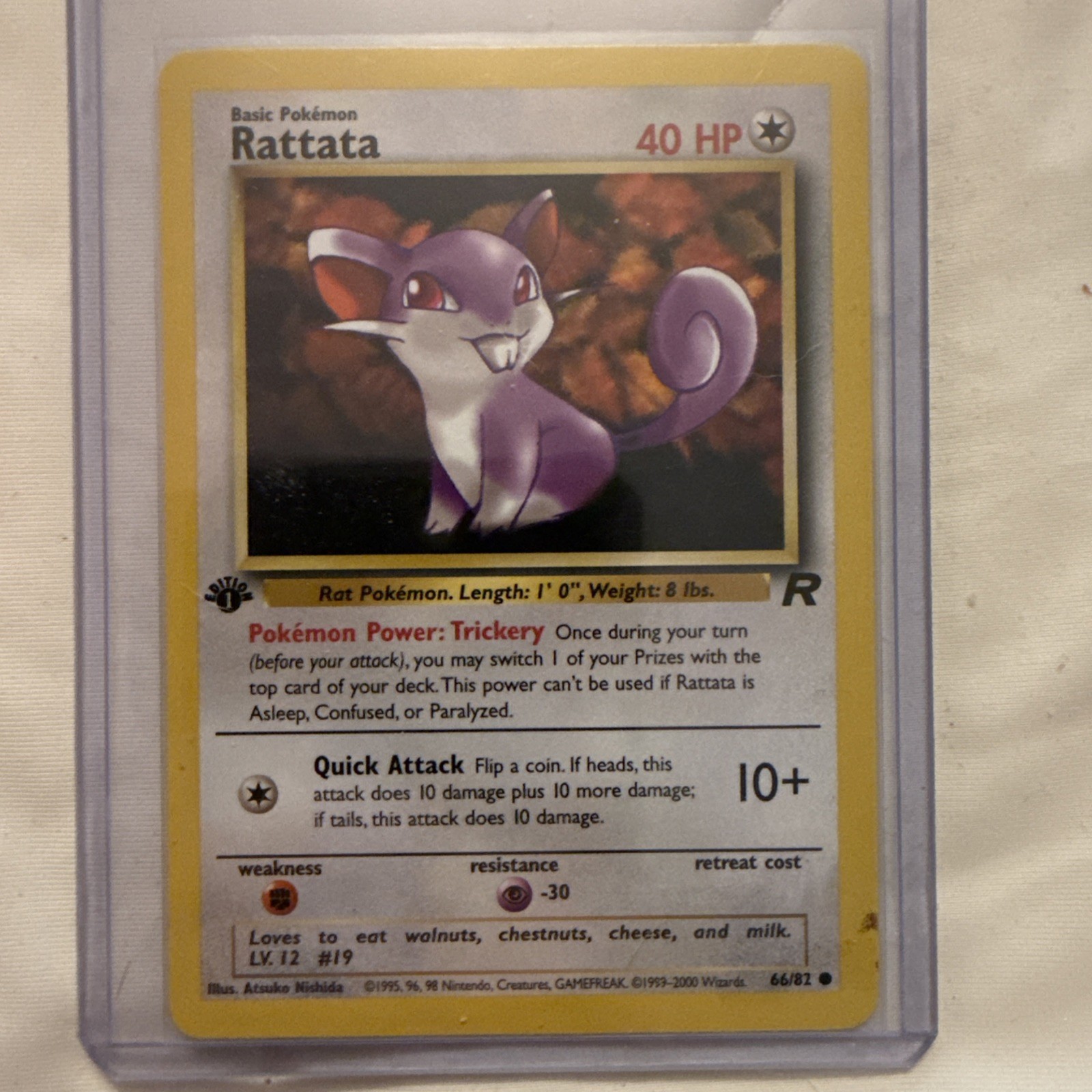 Rattata - Team Rocket 1st Edition - NM - 66/82