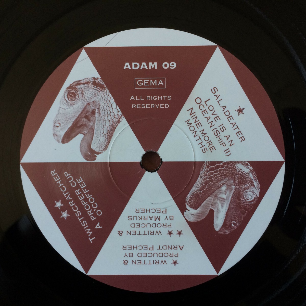 The Siamese Twins – Saladeater レコード トランス The Siamese Twins – Saladeater レコード トランス Vinyan Remixes