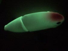Joker 9 GLOW IN THE DARK Replica Floating Swimbait Fishing Lure Bass Wake Bait