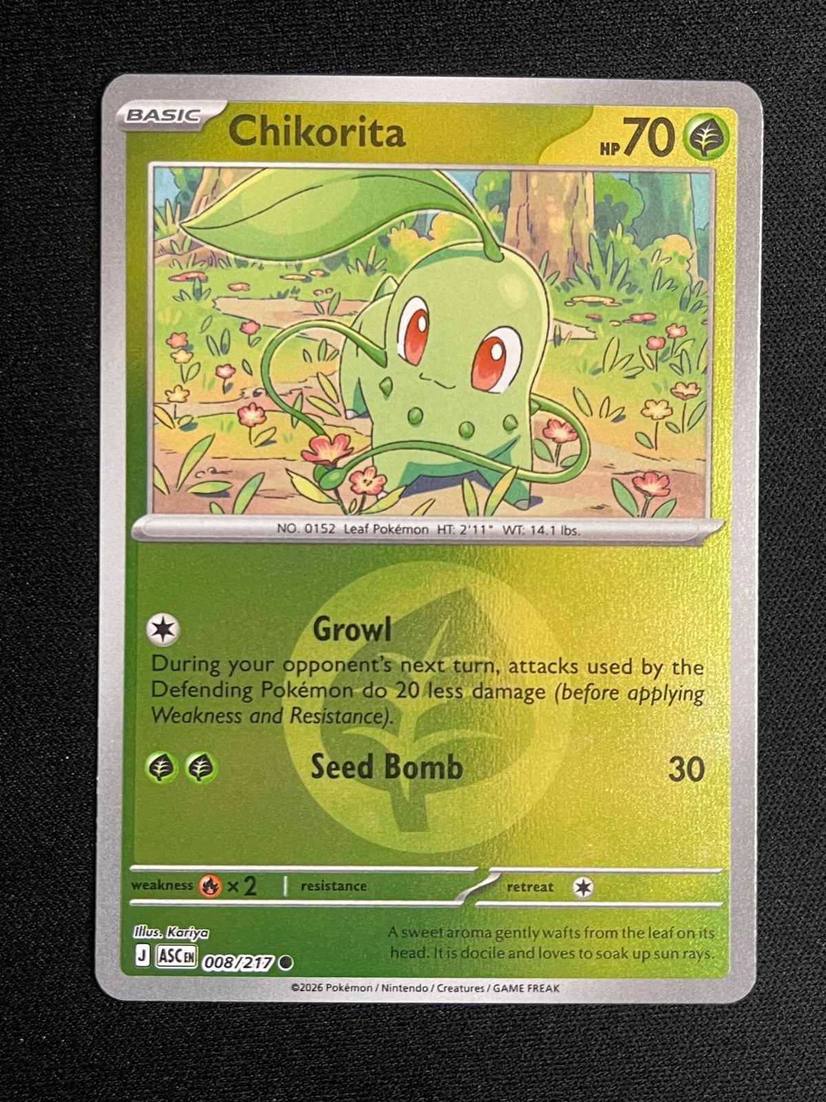 Pokemon Chikorita (Energy Symbol Pattern) Common ME: Ascended Heroes 008/217 NM