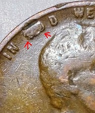  on The Hot Collector