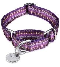 Dazzber Martingale Dog Collar - No-Pull, Heavy Duty Adjustable, Dark Purple 1"
