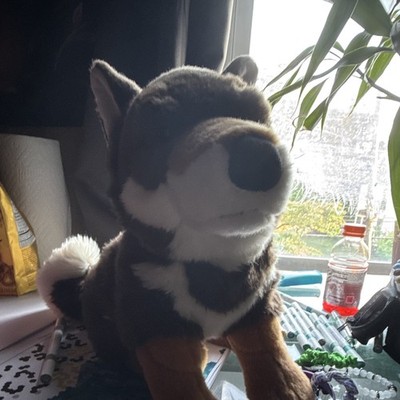Haku the Shikoku Ken Dog Plush by Prime Shiba. HTF NWOT Batch 008 Small Batch