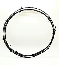 Barbed Wire for Crafts, 8 Feet Long. Real, Rustic, Weathered Barbed Wire.
