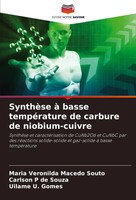 SynthèSe à Basse TempéRature De Carbure De Niobium-Cuivre Souto (U. A.) Buch