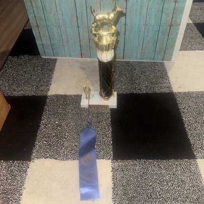 Vintage dog Trophy Vintage no name wooden and marble base Trophy  1st  Premium 
