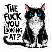 Funny, Sarcastic Cat 3  Sticker  what The F Are You Looking At  For Tumbler