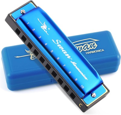Blues Harmonica Key of C 10 Hole Stainless