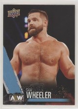 2021 Upper Deck AEW All Elite Wrestling Dash Wilder Cash Wheeler #31 15za