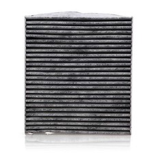 Carbon CABIN AIR FILTER Buick Lacrosse, Cadillac SRX, Chevrolet Cruze, C36154