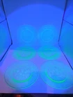MacBeth Evans Dogwood Uranium Green Depression  8” Dessert/Salad Plates Set Of 9