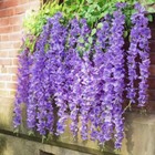 Bild 3 von 3