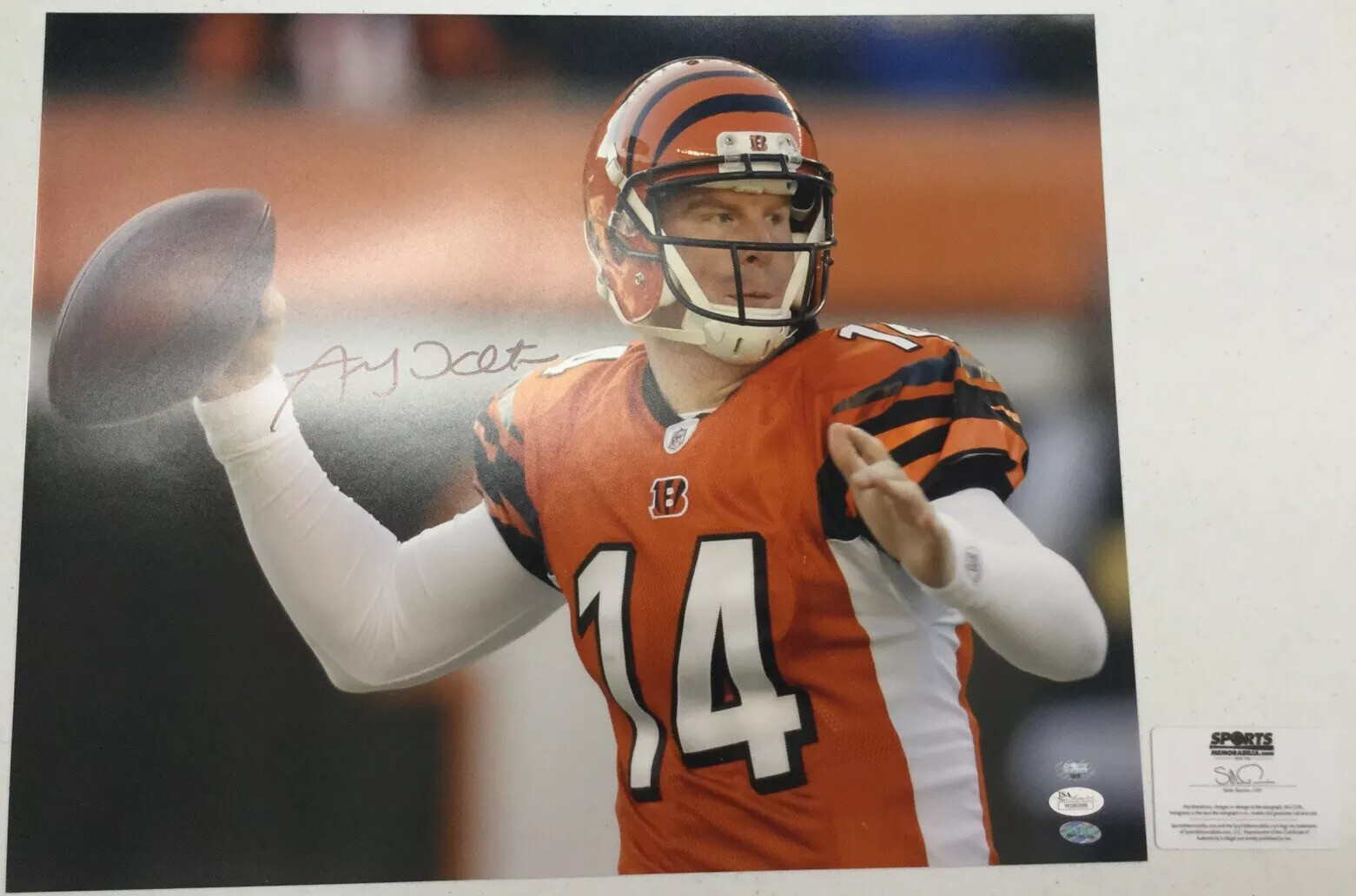 Andy Dalton Autographed Signed Cincinnati Bengals 16x20 Bold Auto JSA Sticker 