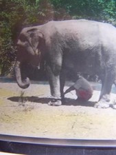 Magic Lantern Slide - Travels Through India (code B1a)  please scroll down