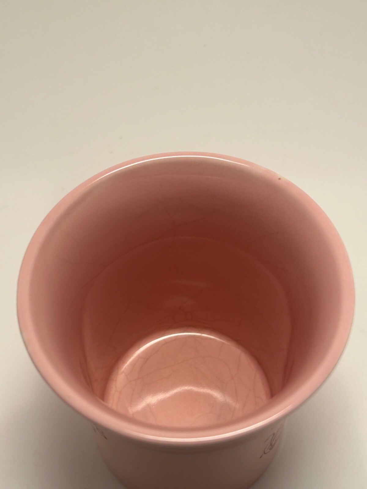 Vintage Wizard Of Oz Only Bad Witches Are Ugly Mug Good Witch Bioworld Rare