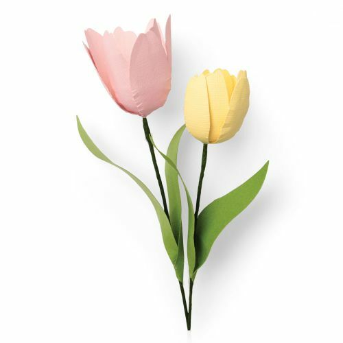 Sizzix Thinlit Die Tulips : 664390