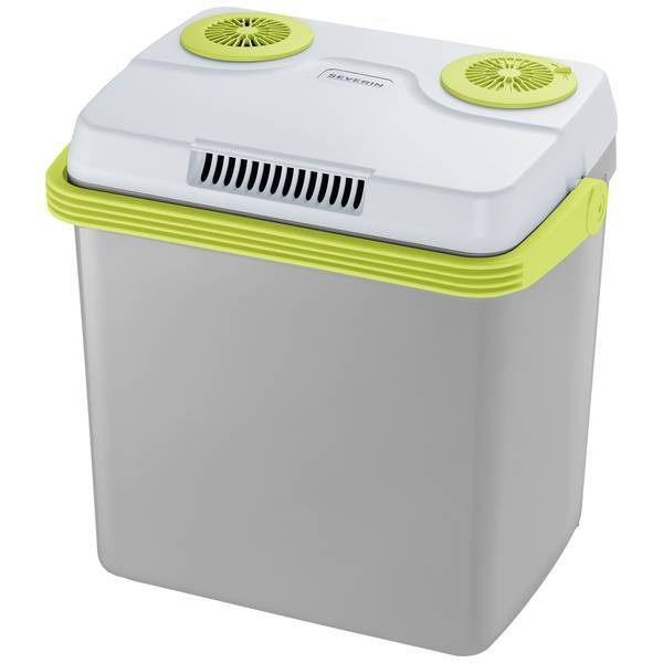 Severin 2924   Borsa frigo ERP: E (A - G) Termoelettrico 12 V, 230 V Grigio, Ver