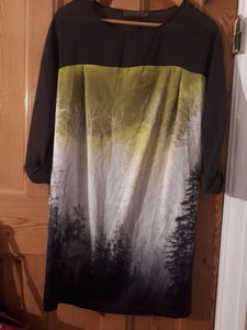 mint velvet tunic dress