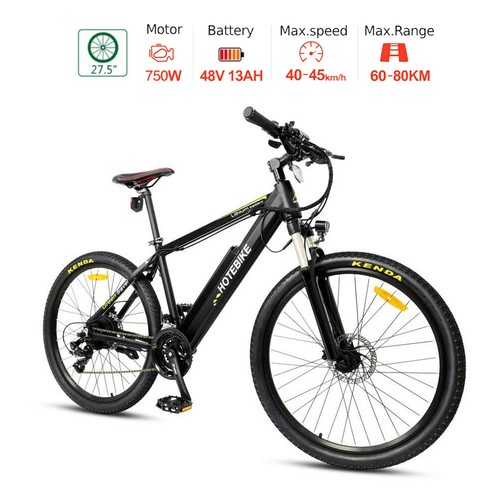 Electric Bicycle Mountain Bike 48V 750W 