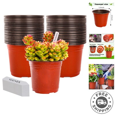 Multi-Purpose 6-Inch Plastic Seedling Pots - 100 Pack for Indoor and Outdoor Use