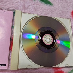 Dreamcast Hello Kitty Garden Panic unboxed rare Japan c2