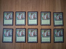 MTG APAC Basic Land Forest Set 10 English Play Condition