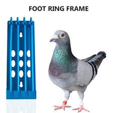 3Pcs Bird Foot Ring Holder Pigeon Leg Rings Organizer for Racing Use