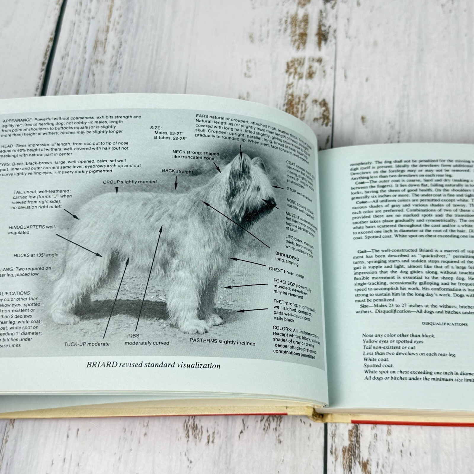 DOGS STANDARDS ILLUSTRATED Visualizations of AKC Recognized Breeds 1977 HB Book