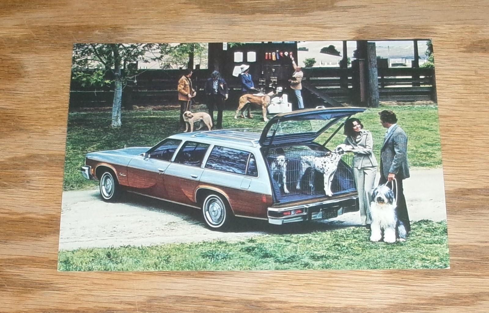 Original 1977 Oldsmobile Vista Cruiser Large Oversized Postcard 77
