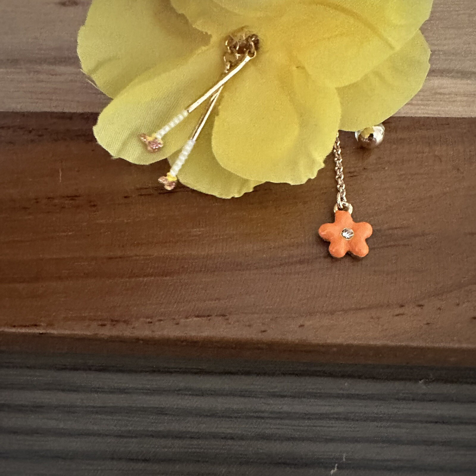 Bild 2 von 3