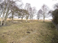 Photo 6x4 Abandoned farmstead near Nightfold Rigg Gunnerton The Pathfinde c2010