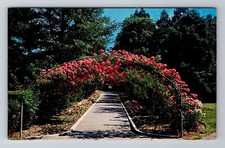 Tacoma WA-Washington, Rose Arbor, Point Defiance Park, Vintage Souvenir Postcard