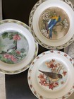 Set of 3 Vintage Bird Collectors Decorative Plate