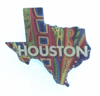 Houston Texas State Shape Colorful Pin C5 | eBay