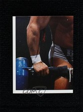 1997 Panini WWF Superstars Album Stickers The British Bulldog #94 11pj